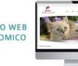 Diseño de Pagina Web en Andahuaylas